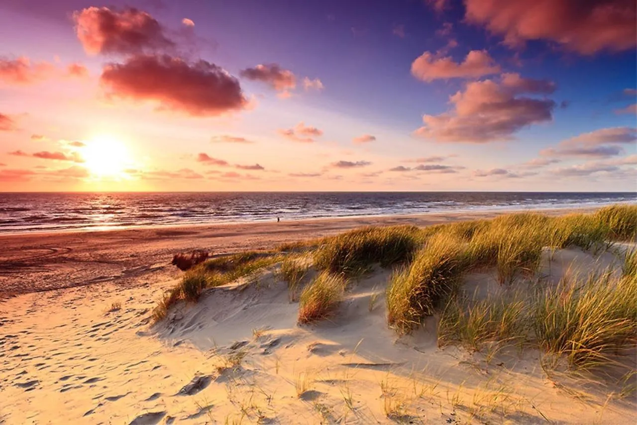 Scottish Thistle Zandvoort 0*,  Paesi Bassi