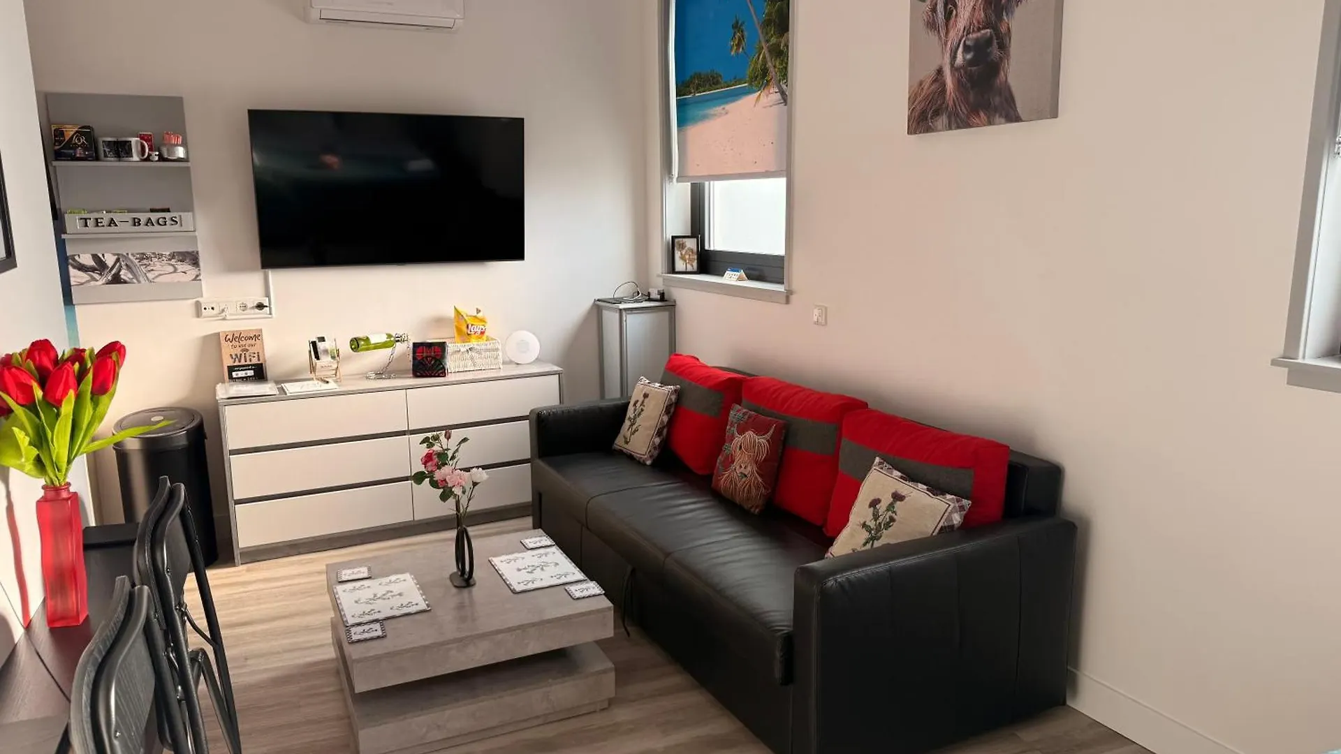 Apartment Scottish Thistle Zandvoort