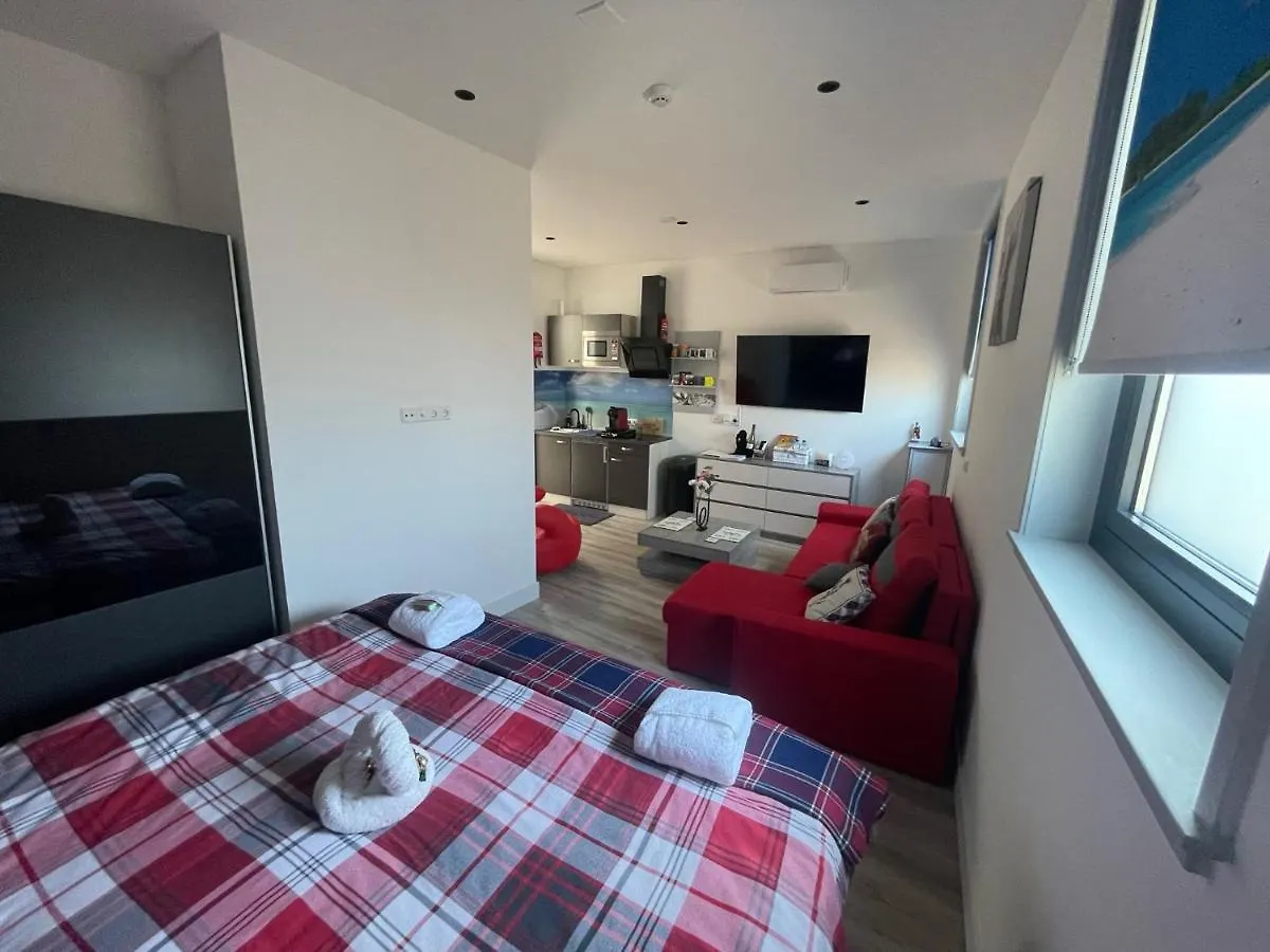 Apartment Scottish Thistle Zandvoort